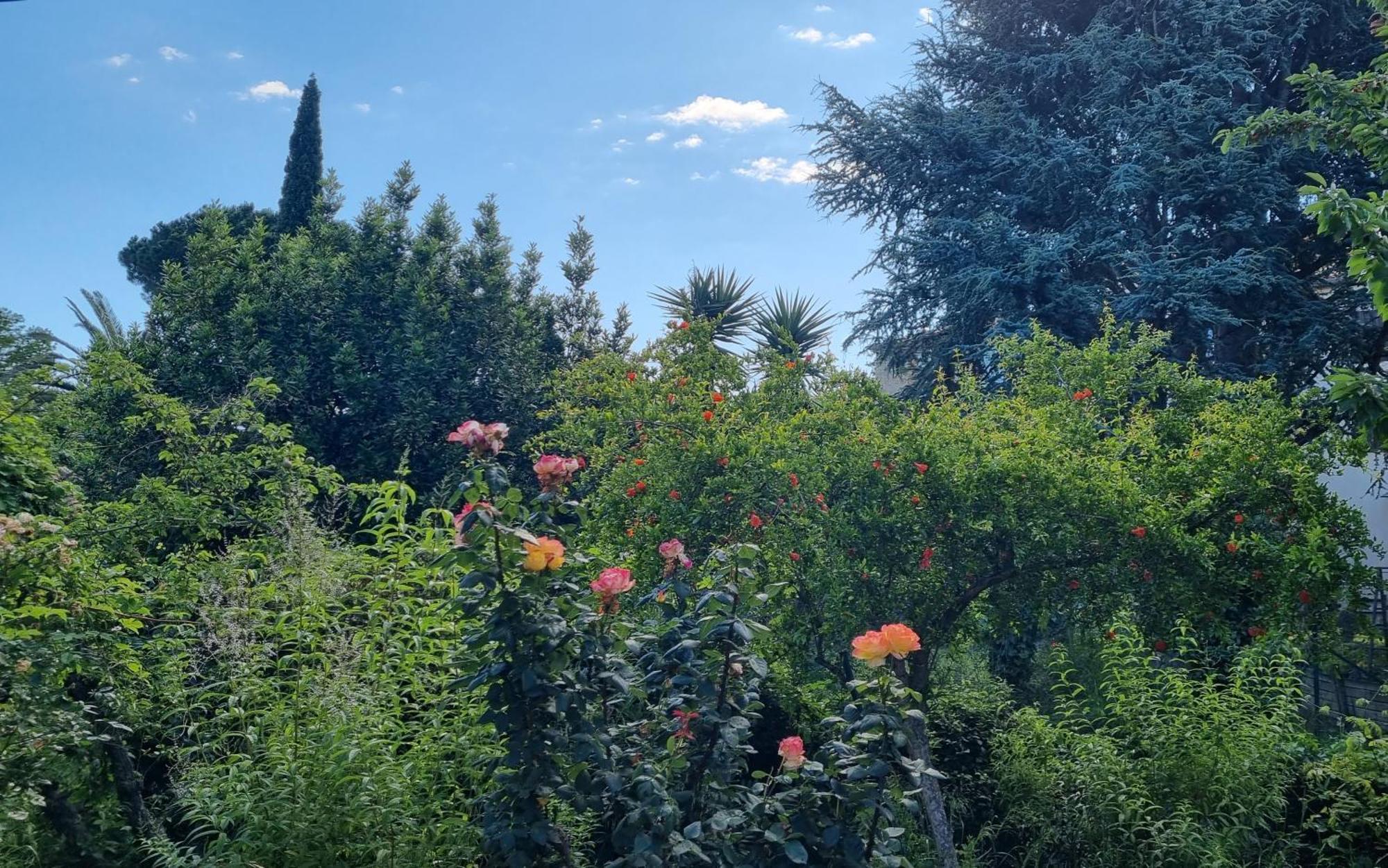 Villa El Correc Laroque-des-Albères Exterior foto